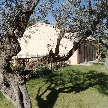 Il Roccolo Di Valcerasa Lejlighed Treia